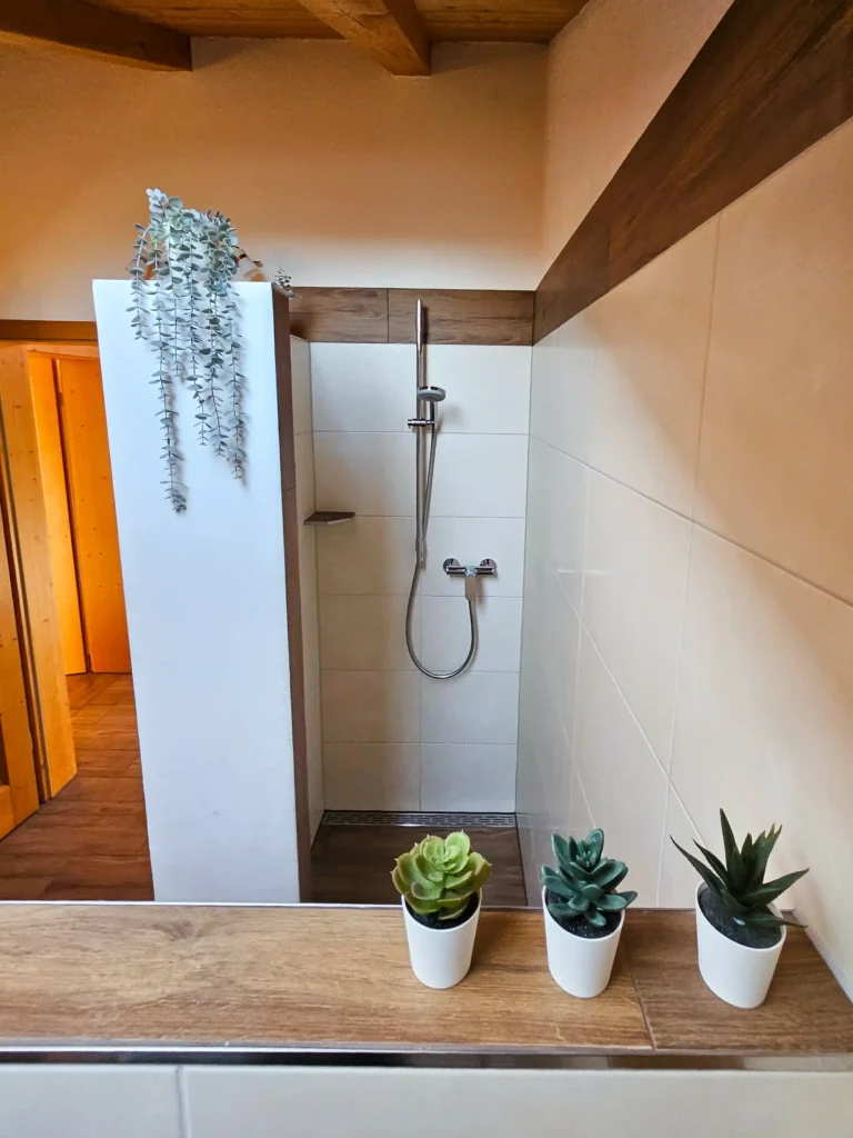 Trennung Dusche zu WC